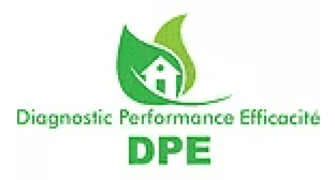 Diagnostic Performance Efficacité