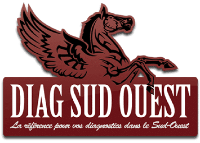 Diag Sud Ouest