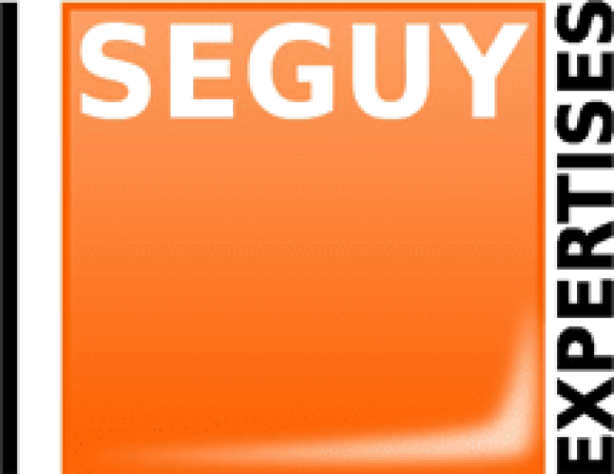 SEGUY EXPERTISE