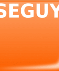 SEGUY EXPERTISE