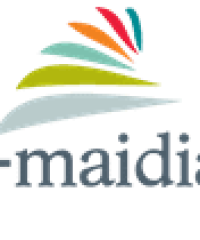 E-maidiag